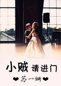 小贼请进门封面