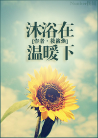 沐浴在温暖下封面
