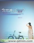 我青春的追逐封面