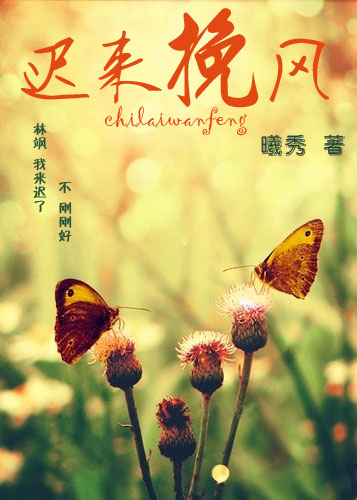 迟来挽风封面