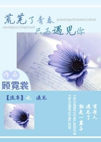 荒芜了青春只为遇见你封面