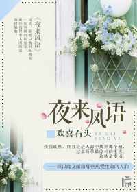 夜来风语封面