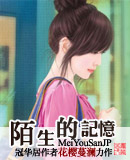 陌生的记忆封面