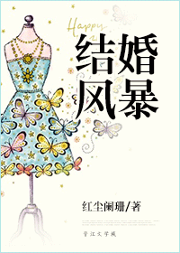 结婚风暴封面