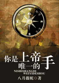 你是上帝唯一的手封面