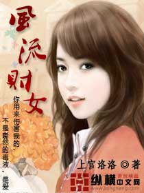 风流财女封面