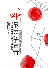 听最美好的声音封面
