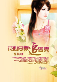 花心总裁追逃妻封面