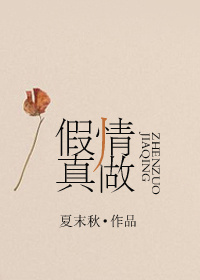假情真做封面