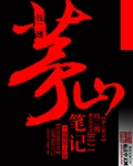 茅山笔记封面