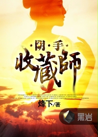 阴手收藏师封面