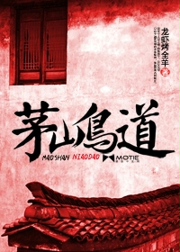 茅山鸟道封面