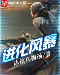进化风暴封面