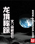龙境秘踪封面