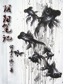 阴阳笔记封面