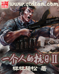 一个人的抗日ⅱ封面