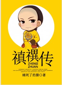禛禩传封面