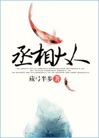 丞相大人封面