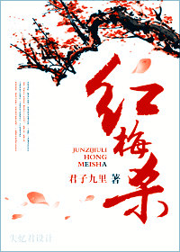 红梅杀封面