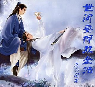 世间安得双全法封面