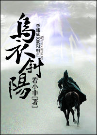 乌衣斜阳封面