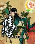 种夫得夫封面