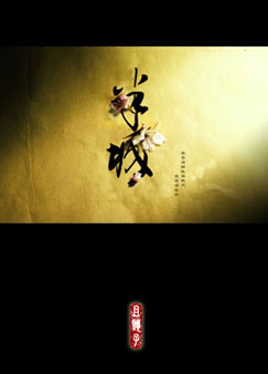 半城封面