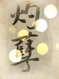 灼孽封面