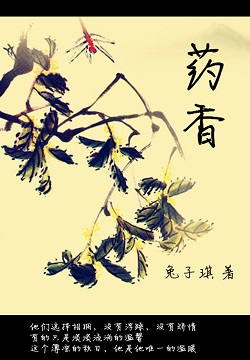 许一世药香封面