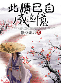 此情已自成追忆封面
