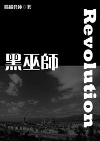 黑巫师:圣域封面