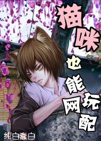 猫咪也能玩网配封面