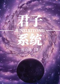 君子系统封面