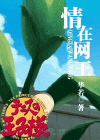 情在网王