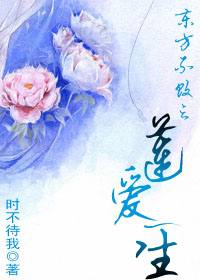 东方不败之莲爱一生封面