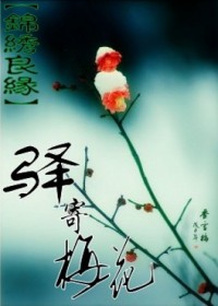 锦绣良缘之驿寄梅花封面