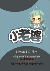 小老婆封面