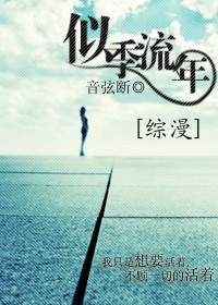 似季流年封面