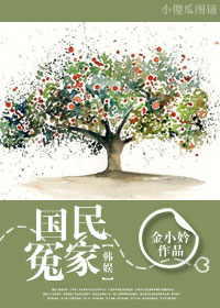 韩娱之国民冤家封面