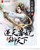 逆天兽妃御天下封面