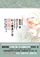 火爆丫鬟:杠上腹黑少爷