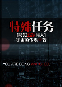 特殊任务封面