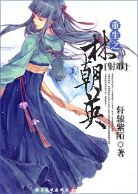 重生之林朝英封面