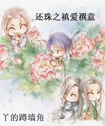 还珠之禛爱禩意封面