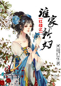 (红楼同人)红楼之谁家新妇封面
