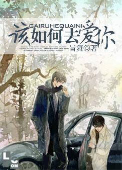 该如何去爱你封面