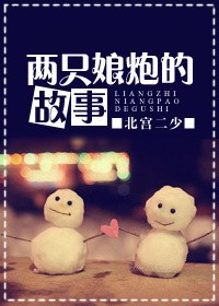 两只娘炮的故事封面