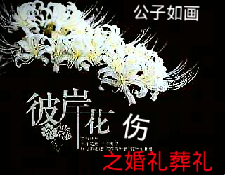 彼岸花伤之婚礼葬礼封面