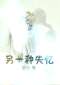 另一种失忆封面