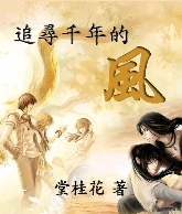 追寻千年的风封面
